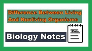 living and non living organism notes 
