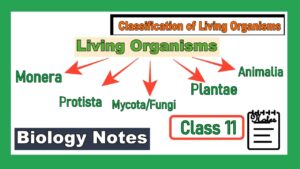 Classification Of Living Organisms Class 11 Notes - Exam Study Live