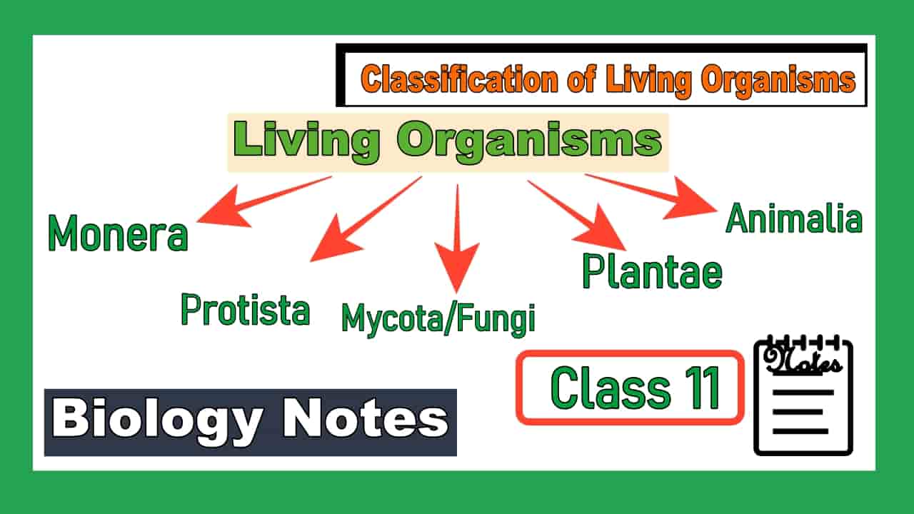 Classification of Living Organisms Class 11 Notes image